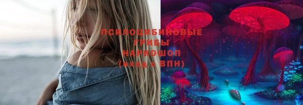 дживик Осинники