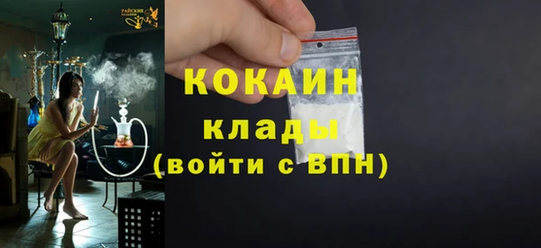 дживик Осинники