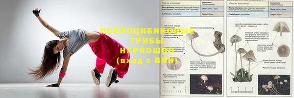 apvp Осташков