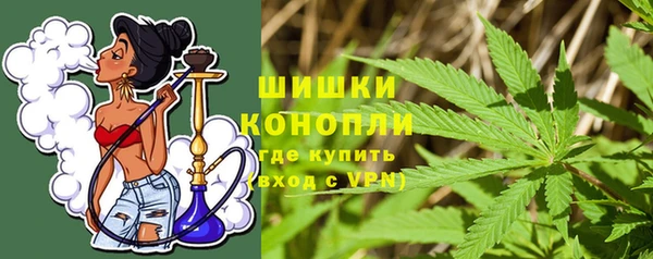 mix Богородицк