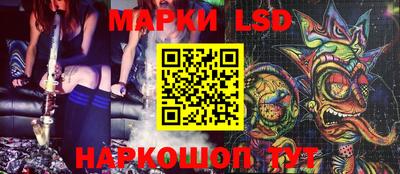 эйфоретик Гатчина