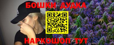 ALPHA PVP Гай