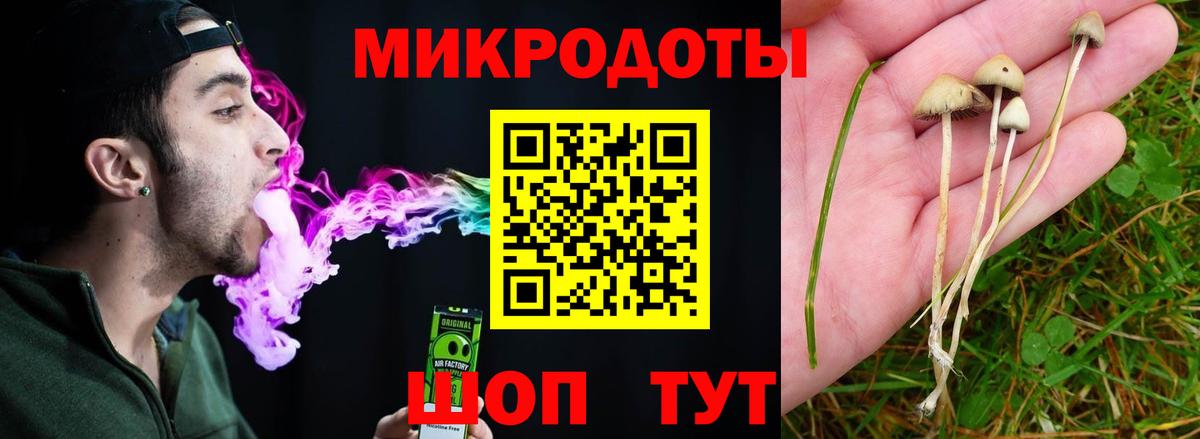 Галлюциногенные грибы мухоморы  Сертолово 