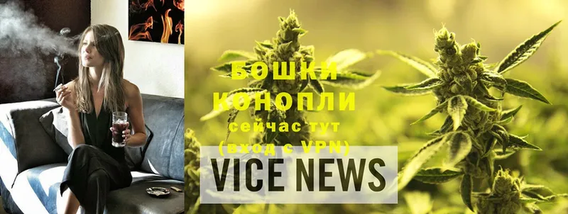 Бошки марихуана THC 21%  Сертолово 