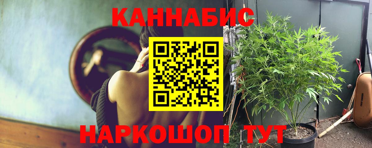 Бошки марихуана THC 21%  Сертолово  Канабис VHQ  Канабис планчик 
